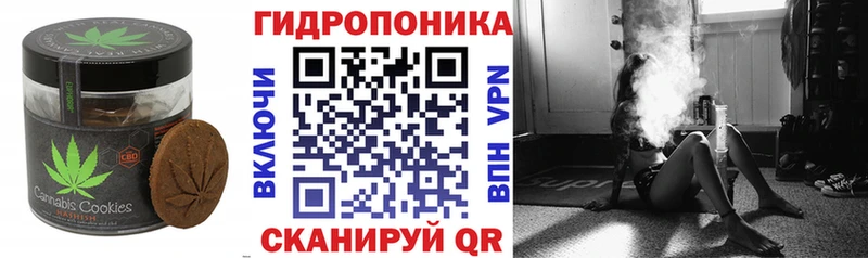 darknet официальный сайт Новоаннинский Печенье с ТГК конопля сколько стоит