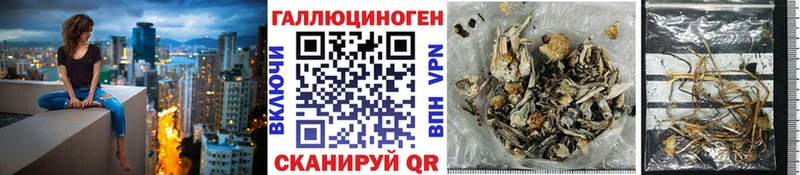 Галлюциногенные грибы MAGIC MUSHROOMS Новоаннинский